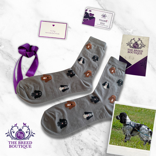 Cocker spaniel socks unisex - cocker,