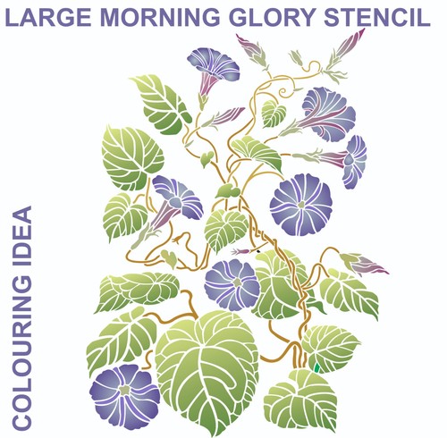 Large morning glory stencil - glory,