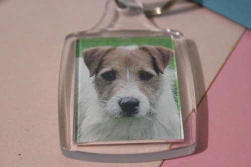 Terrier dog keyring keychain - terrier,