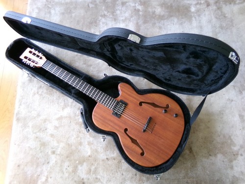 Halo custom jazz - guitar, inc