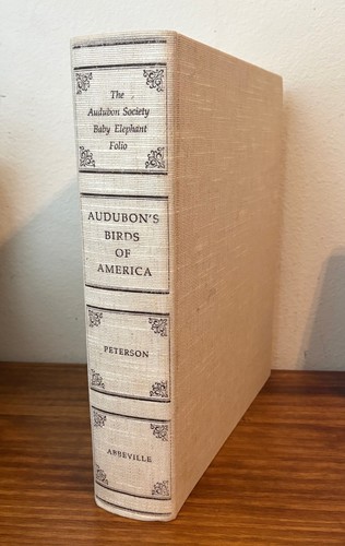 Birds america audubon baby - birds,