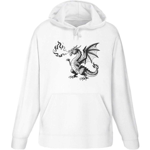 Fire breathing dragon adult - breathing, dragon'