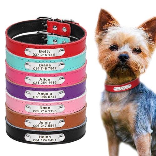 Leather personalized dog - leather,