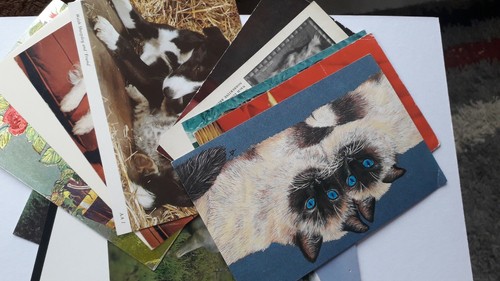 Postcards dogs cats - cats, donkeys