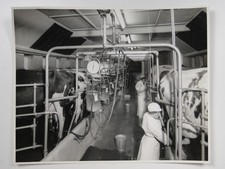 Gascoigne High Level