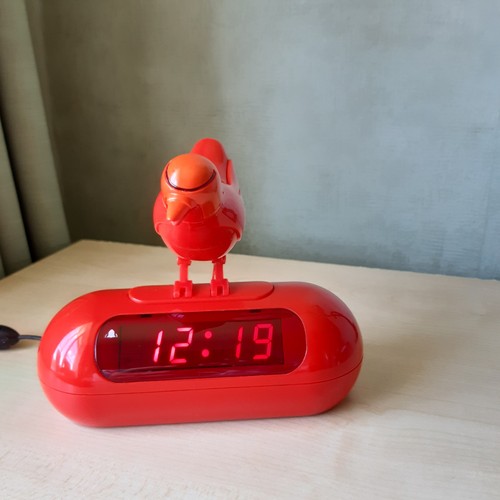 Habitat okko red - okko, bird