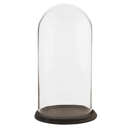Glass display cloche bell - cloche,