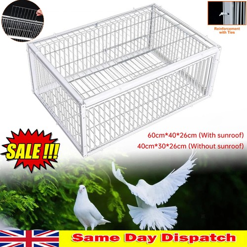 Pigeon trap cages single way - pigeon,