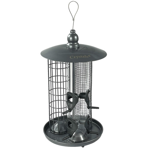 Hanging wild garden bird - wild,