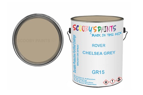 Classic paint for - classic,