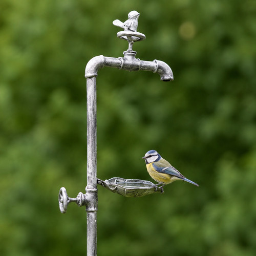 Metal bird bath - bird,