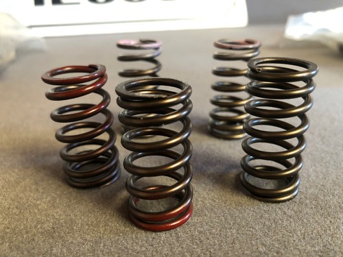 Yfz450r yfz450 valve springs - yfz450r,