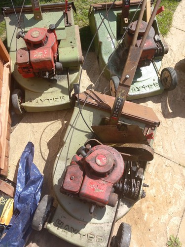 Hayter harrier job - hayter, lot