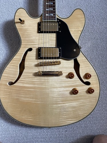 Washburn hb35n 335 hollowbody - washburn,