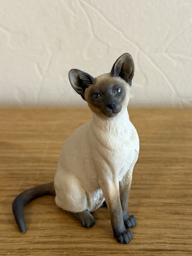 Teviotdale siamese cat - teviotdale,