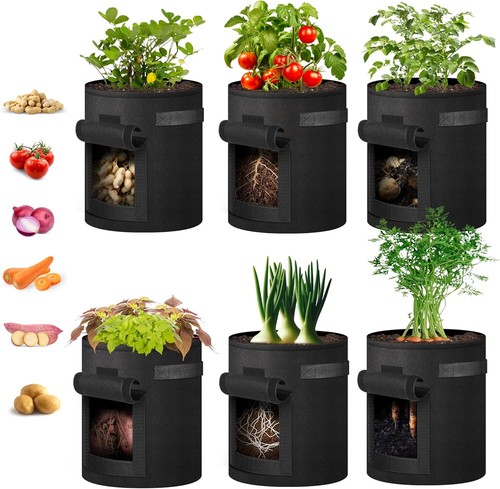 Fabric plant pot grow - pot,