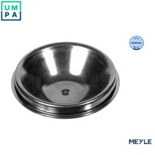 CAP WHEEL BEARING 300 312 1103