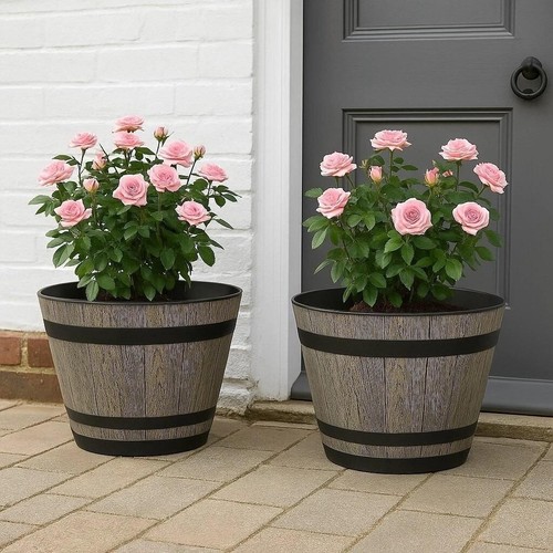 2pc plastic whiskey - 2pc,