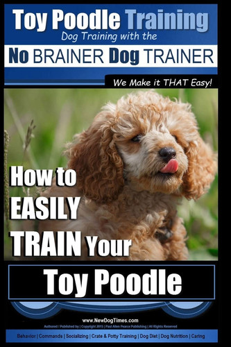 Toy poodle training dog - poodle,