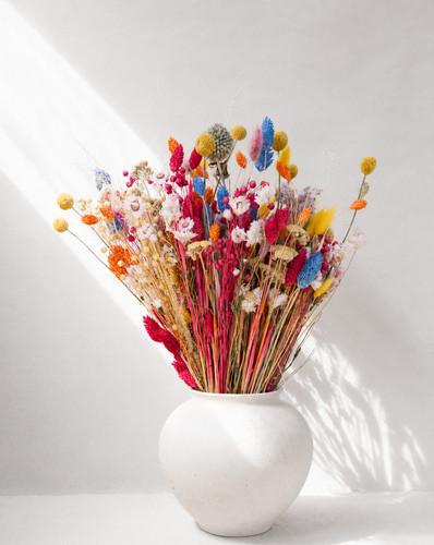 Dried flower wildflower - dried,