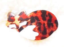 NW3 Hobbs Fox Brooch faux