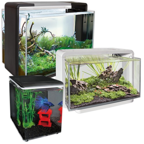 Superfish home aquarium with - home,