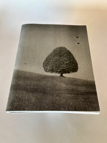 Daisuke yokota site - yokota:, –