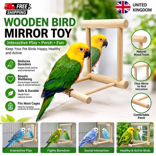 Wooden bird mirror interactive - mirror,