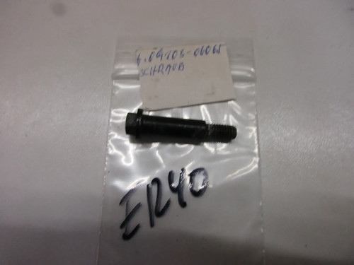 Screw e1240 suzuki 125 - e1240, ap