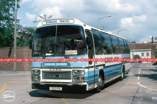 Coach photo caroline seagull - caroline,