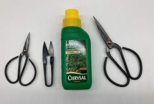 Bonsai starter kit - bonsai,