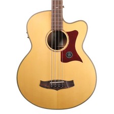 Tanglewood TW155 Acoustic Bass