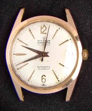Allaine rose gold tone men - gold-tone, men's