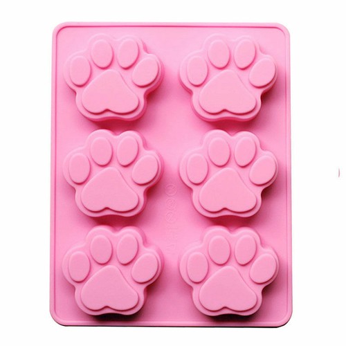 Paws cat dog - cat, bear