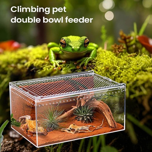 Clear reptile terrarium - **clear,