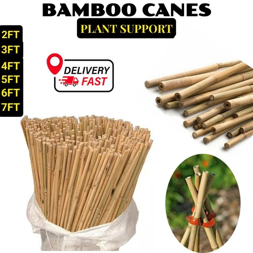 Heavy duty bamboo - duty, canes