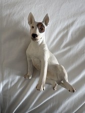 North Light 1986 English Bull