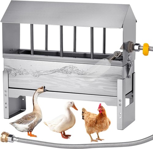 Automatic chicken waterer - chicken,