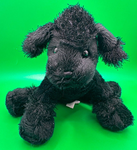 Black poodle dog - poodle, ganz