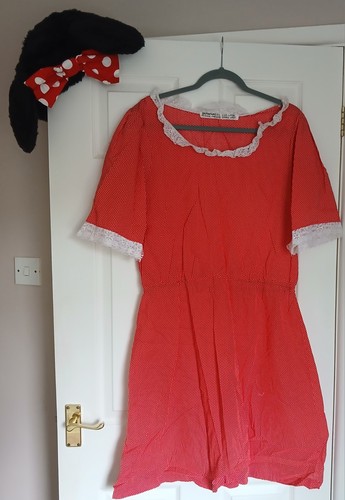 Adult fancy dress minnie - fancy,