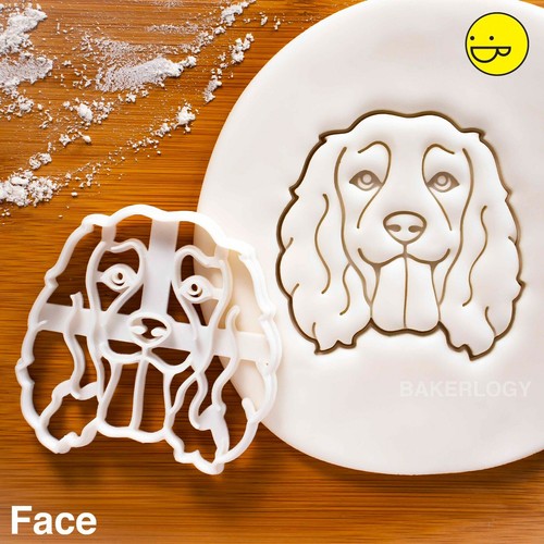 Working cocker spaniel face - cocker,