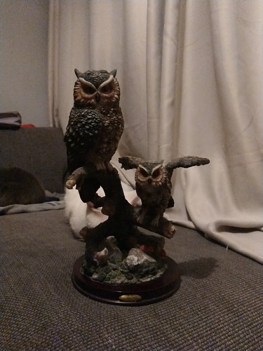 The juliana collection - collection, owl