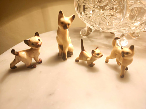 Vintage set siamese cat - vintage, of