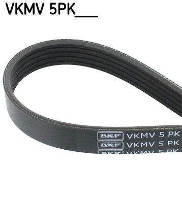 Ribbed belt for fiat coupe - v-ribbed,