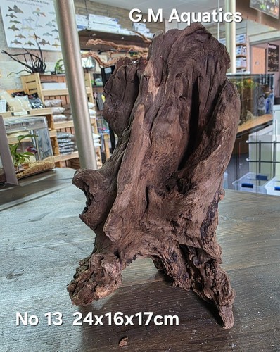 Driftwood bog wood no - ,