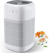 Air Purifier and Dehumidifier in 1, Afloia Q10 True HEPA Air Purifier with H13 H