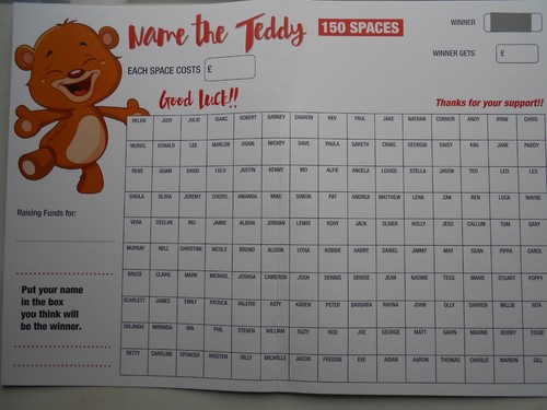 Name the teddy - name, scratch