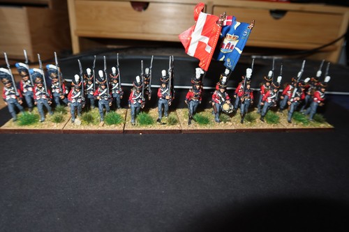 Pro painted 28mm - 28mm, perry