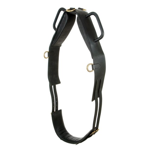Horse trick riding and healing - trick,