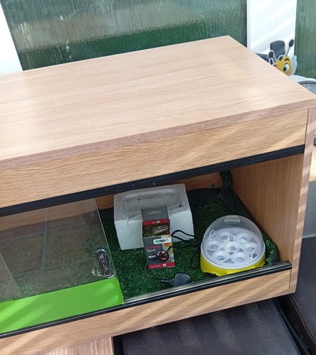 Wood effect glass - effect,